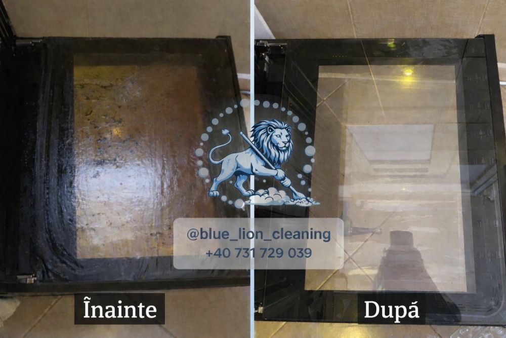 Curatenie la domiciliu