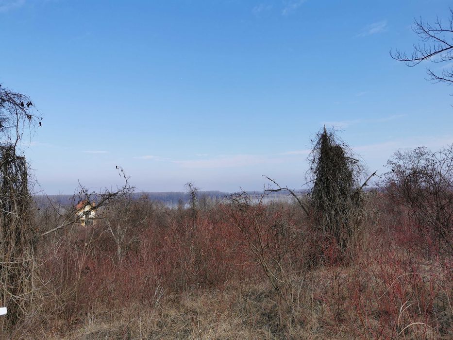 Продава се Земеделски имот в Лом -  кв.м за 2805 €/дка - Снимка #13