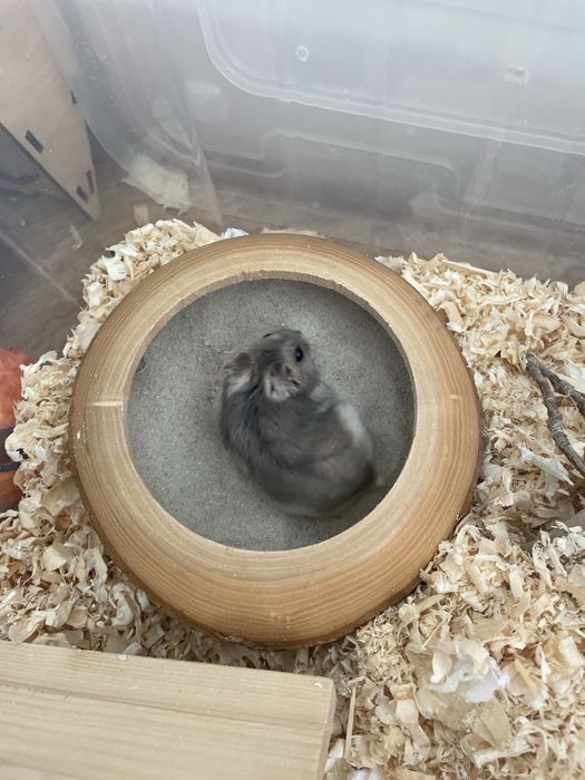 Продаем контейнер с вещамм внутри