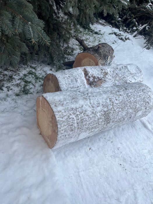 Продаем елку самовызов или яндекс