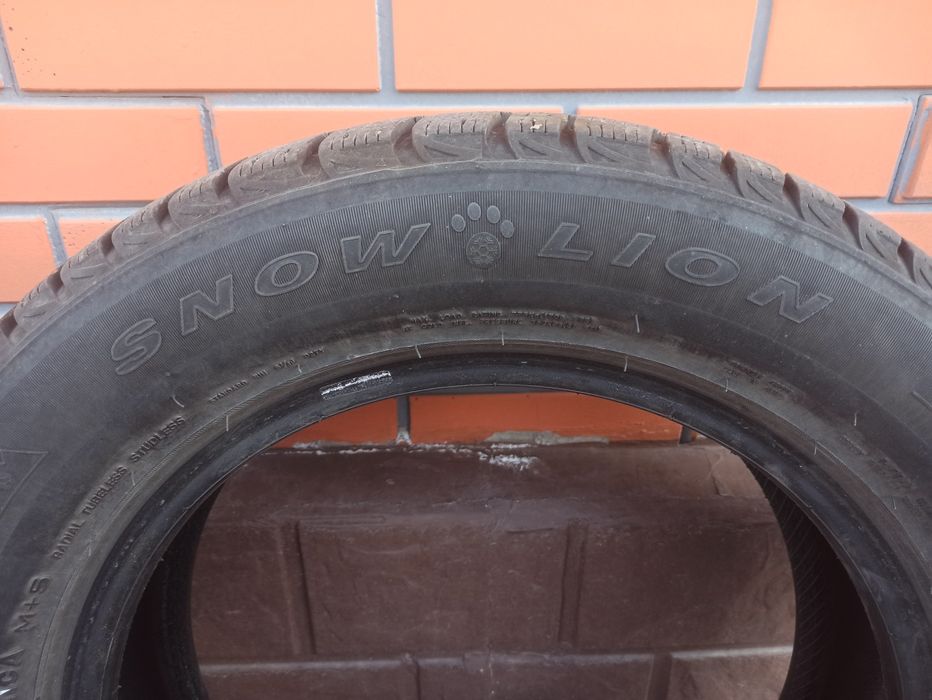 Резина зимняя Triangle