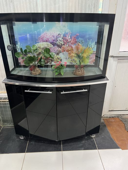 Akvariumlar har hil turdagi