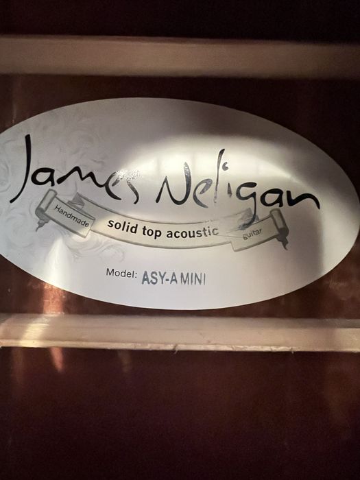 Chitară acustică mini auditorium din seria Asyla (James Neligan)