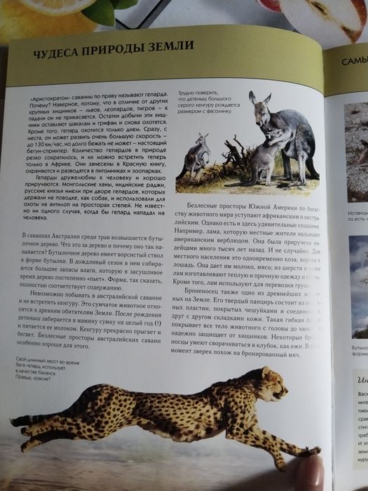 Энциклопедия чудеса света