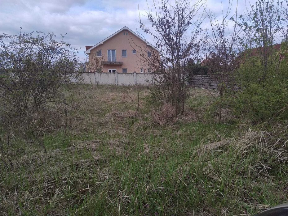 Teren intravilan Paleu