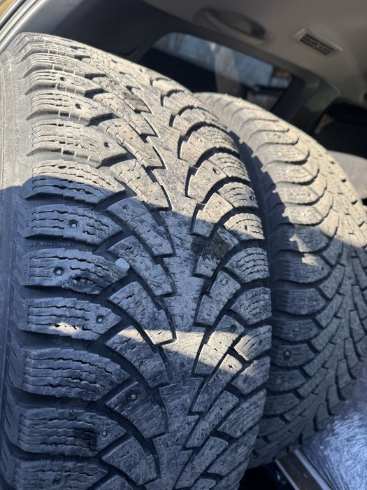 Шины зимние Nordman 5