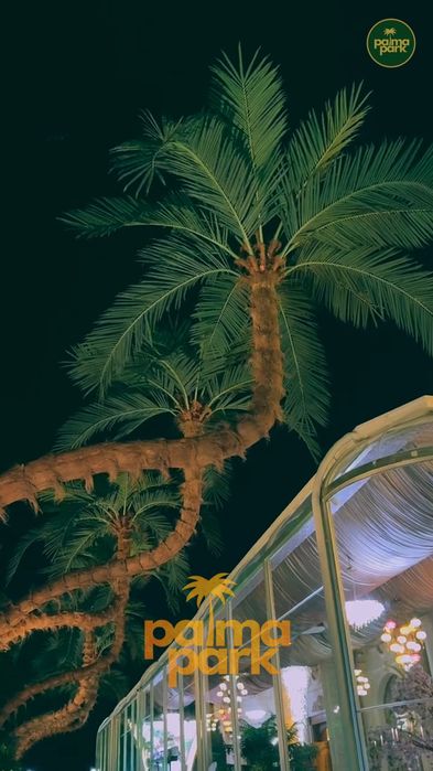 Искусственные пальмы