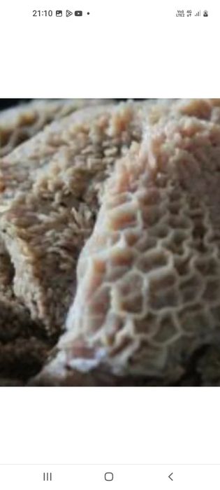 Требуха для собак говядины ия