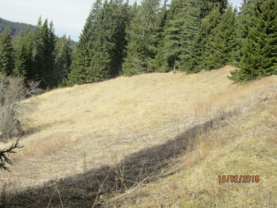 Продава се Парцел в к.к. Пампорово - 4550 кв.м за 49 €/кв.м - Снимка #1