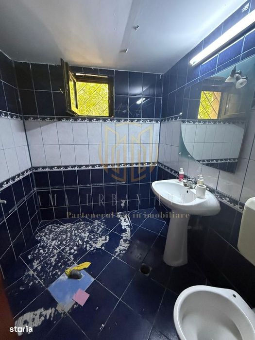 Teiul Doamnei Grigore Ionescu 4 camere 85 mp , an 1986 , pret 156000 e