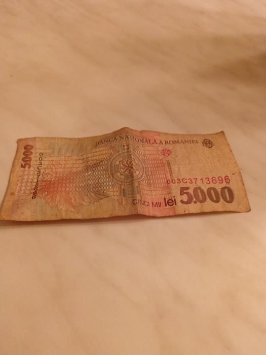 Bagnota 5000 lei