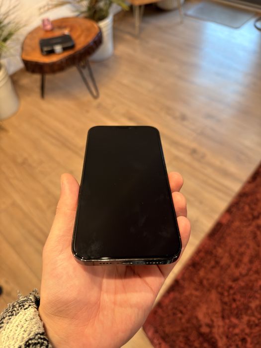 Iphone 12 Pro Max 256 GB