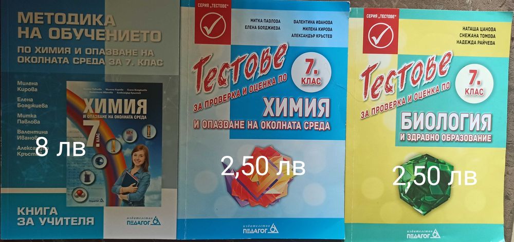Помагала за подготовка за НВО 7 клас
