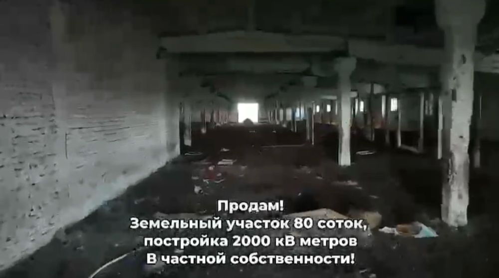 Земля с фазендой