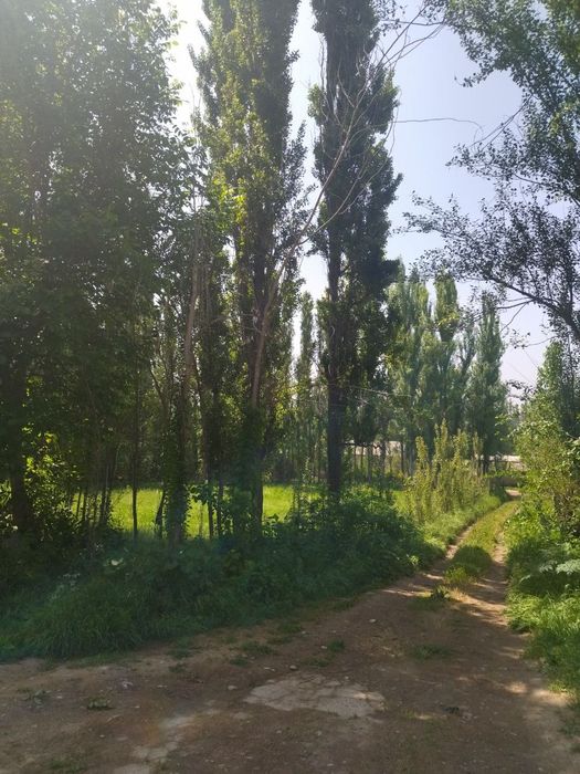 Срочна продаётся свой дом! Махала-Кангли