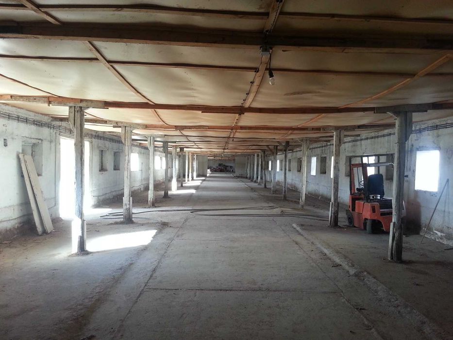 Дава се под наем Промишлена сграда в с. Ново село, Област Пловдив - 2000 кв.м за 1530 € - Снимка #6