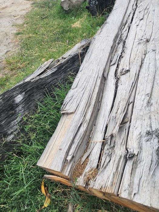 Vând lemne esența tare