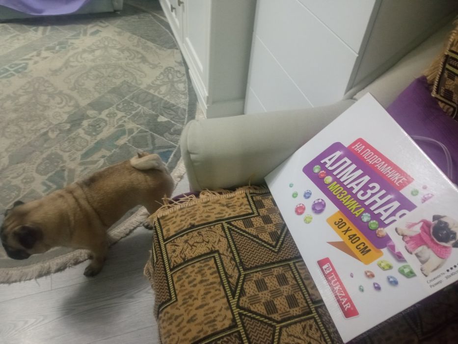 Картины Алмазная мозаика