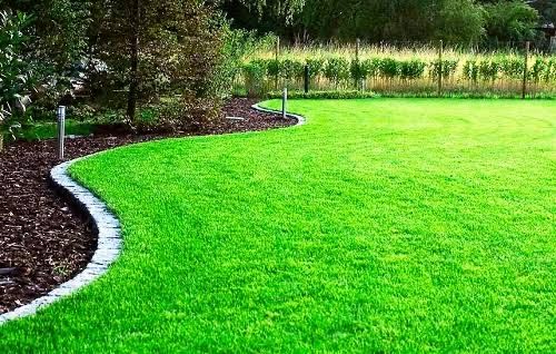 Газон егемиз кв/м 1000 тг