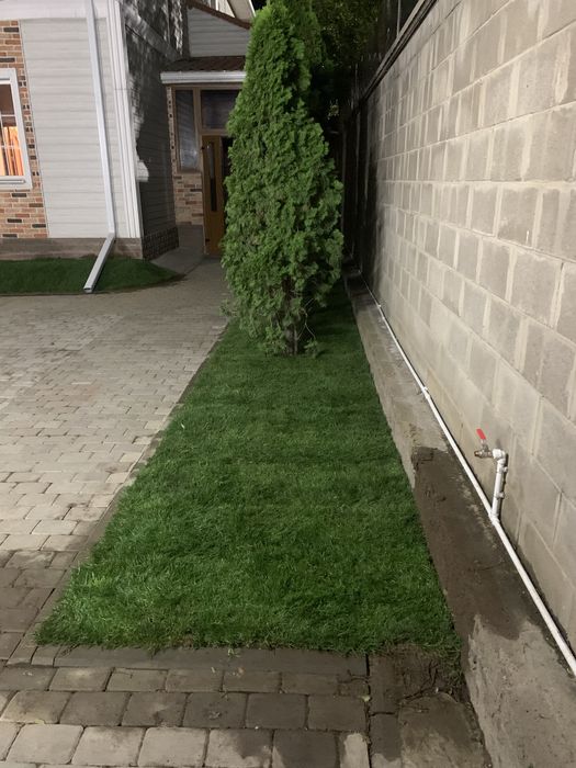 Газон озеленение с гарантией