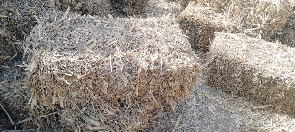 Press somonga garantiya