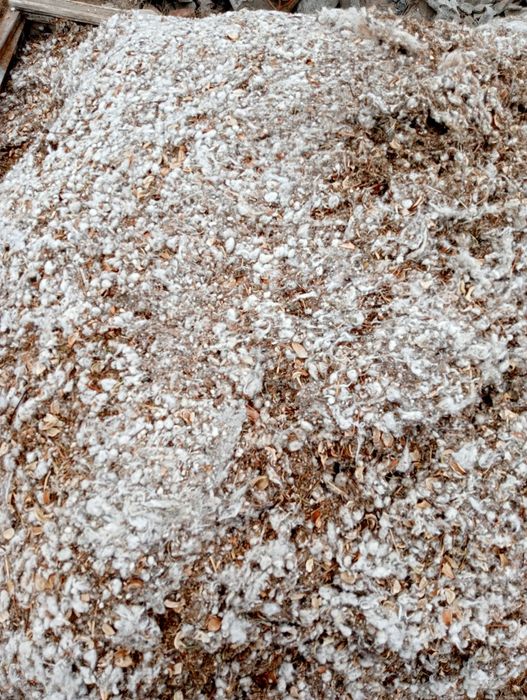 Сексуалдық жұп бейне фильм пародиясы