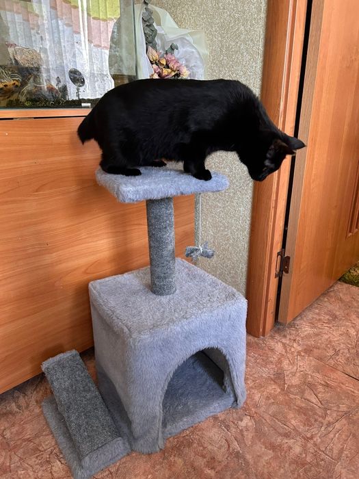 Домик для кошки с когтеточкой