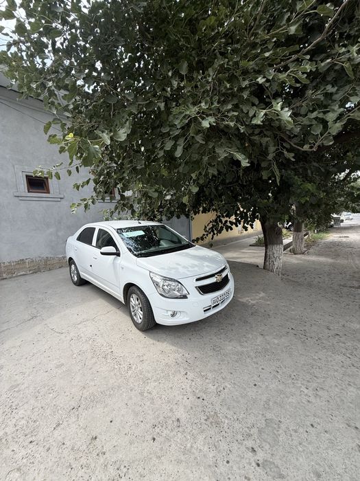 Cobalt sotildi narxni kelshamiz