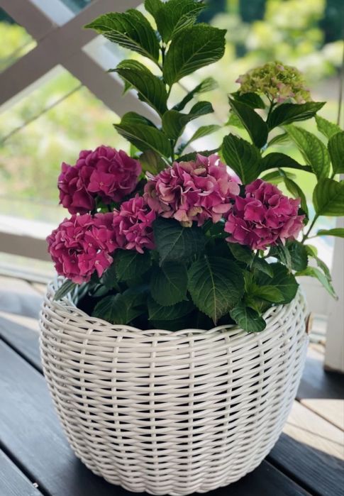 Кашпо из ротанга