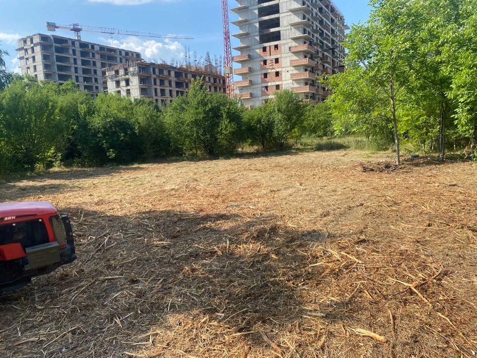 Curatare si defrisare ambrozie si vegetatie invaziva