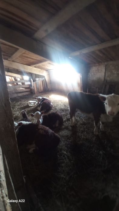 Продам базу район Чарска