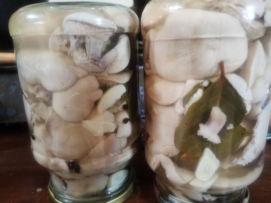 Маринованные грибы