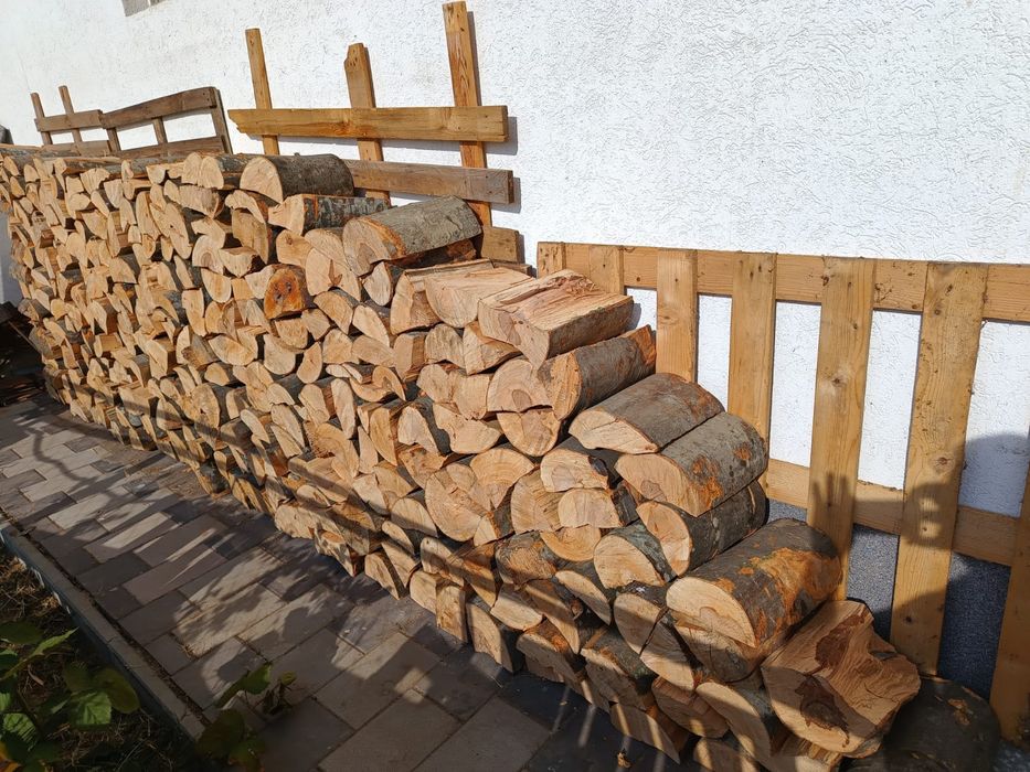 Lemne de foc fag capete uscate uscate sau verzi 600.lei tona