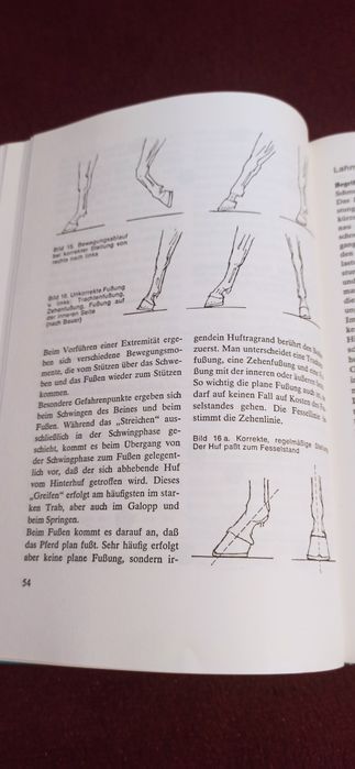Carte veterinara despre cai in lb germana