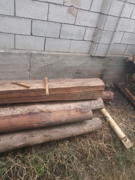 Старапила тусинлар сотилади