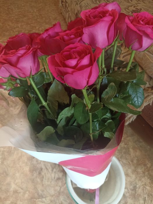 Продаю цветы розы