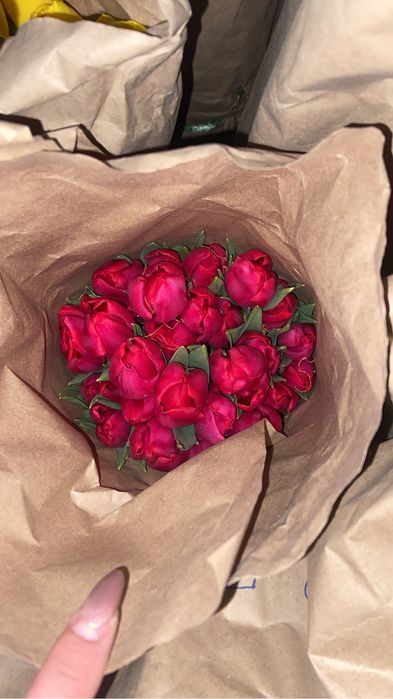 Свежие по  300 тг