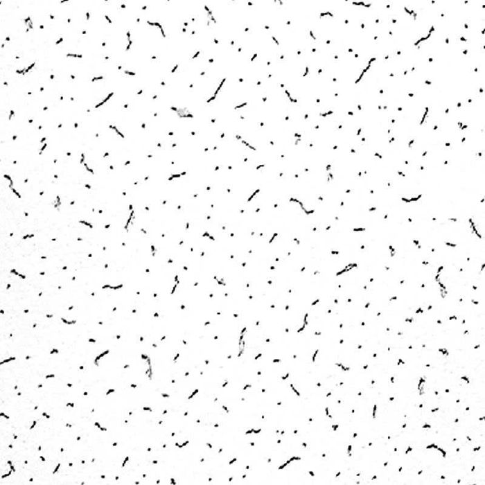 пўкак армстронг минвата Po'kak armstrong  Bajkal Ckala Rossiya Xitoy