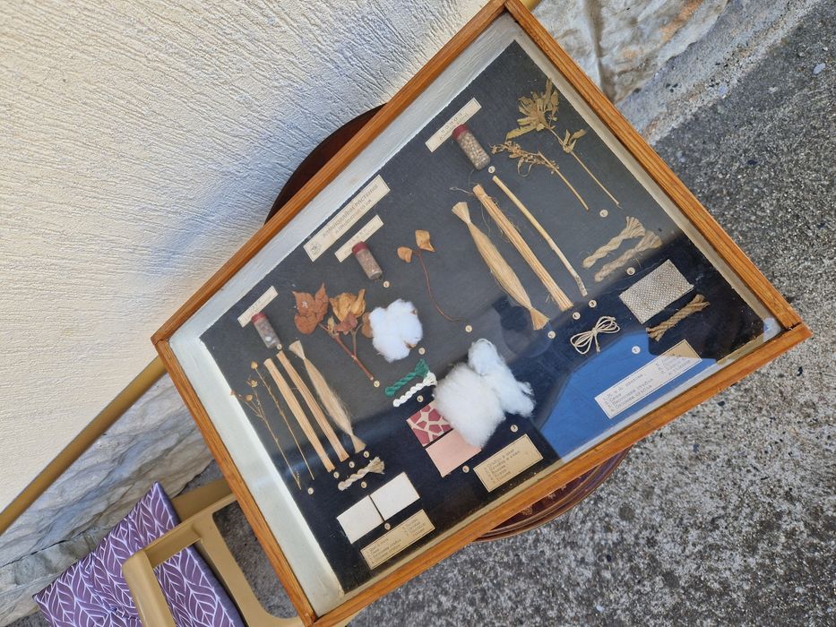 Страхотно антикварно пано - Влакнодайни култури