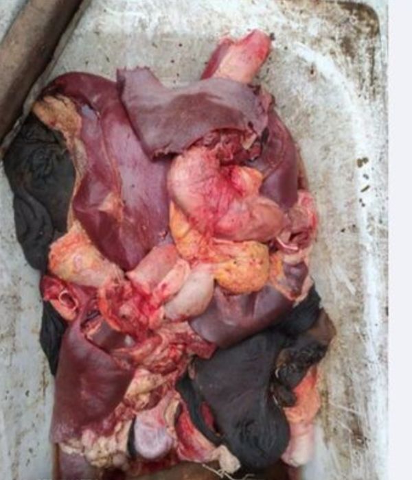 Итке тамак. Обрезка