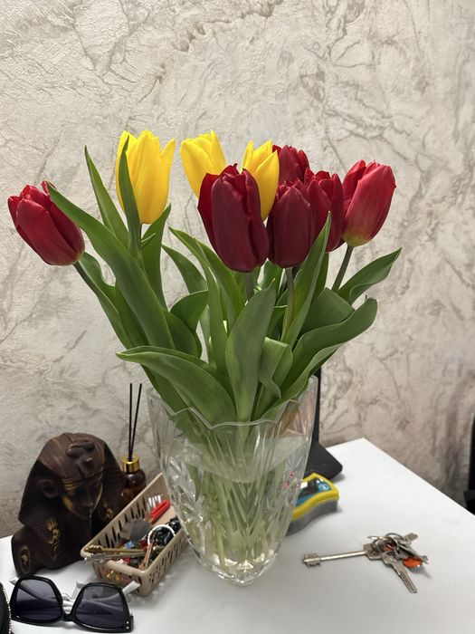 Продам свежие тюльпаны