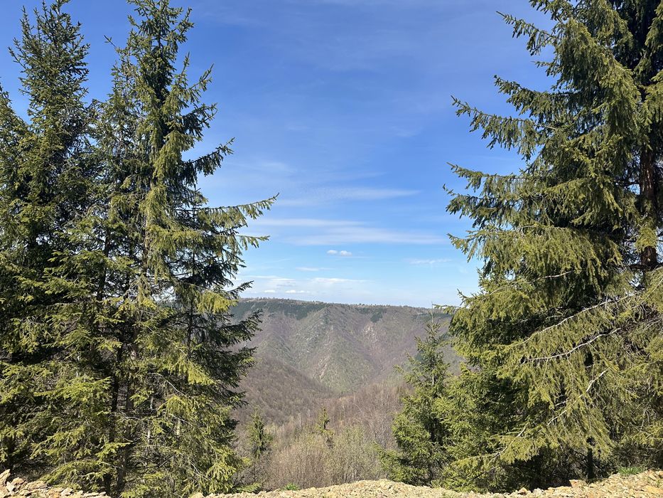 Teren de vanzare in Marisel