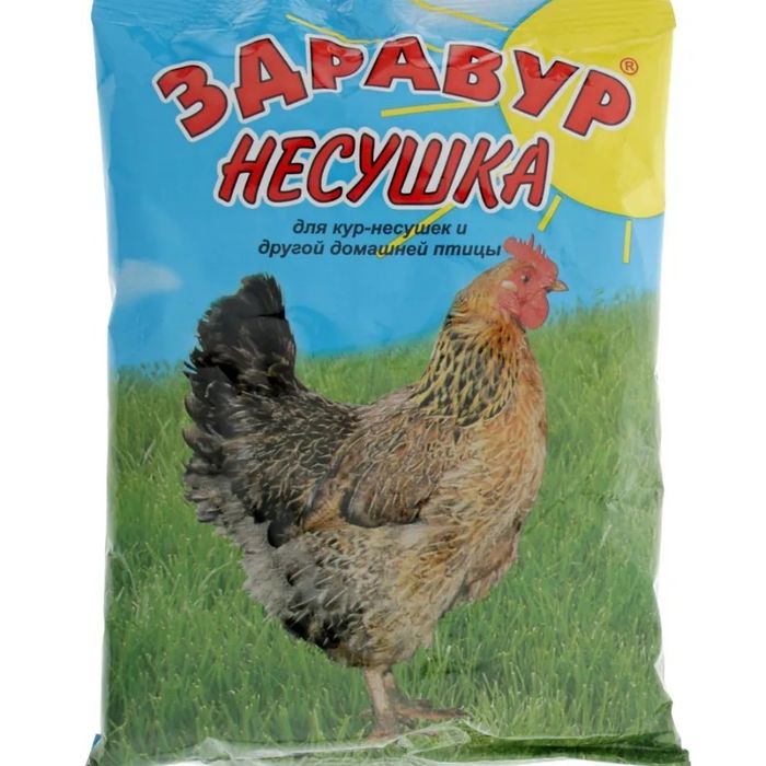 Кормовая ракушка