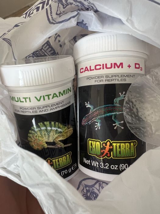 Женски Леопардов гекон