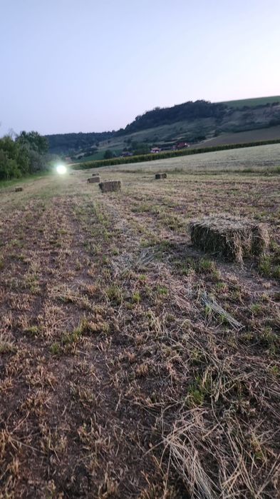 De vanzare detalii in privat