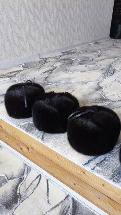 Ondatra telpak yangi