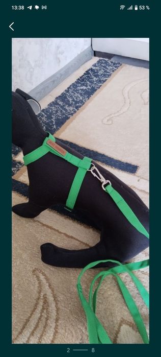 шлейки для собак