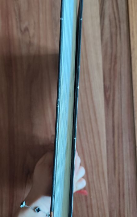 Дневник Анны Франк, графическая версия