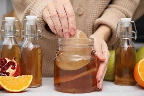 Ciuperca de Kombucha (SCOBY) si starter