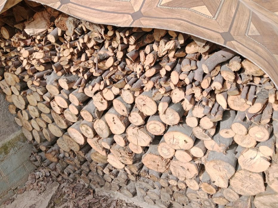 Дрова из фруктовых деревьев